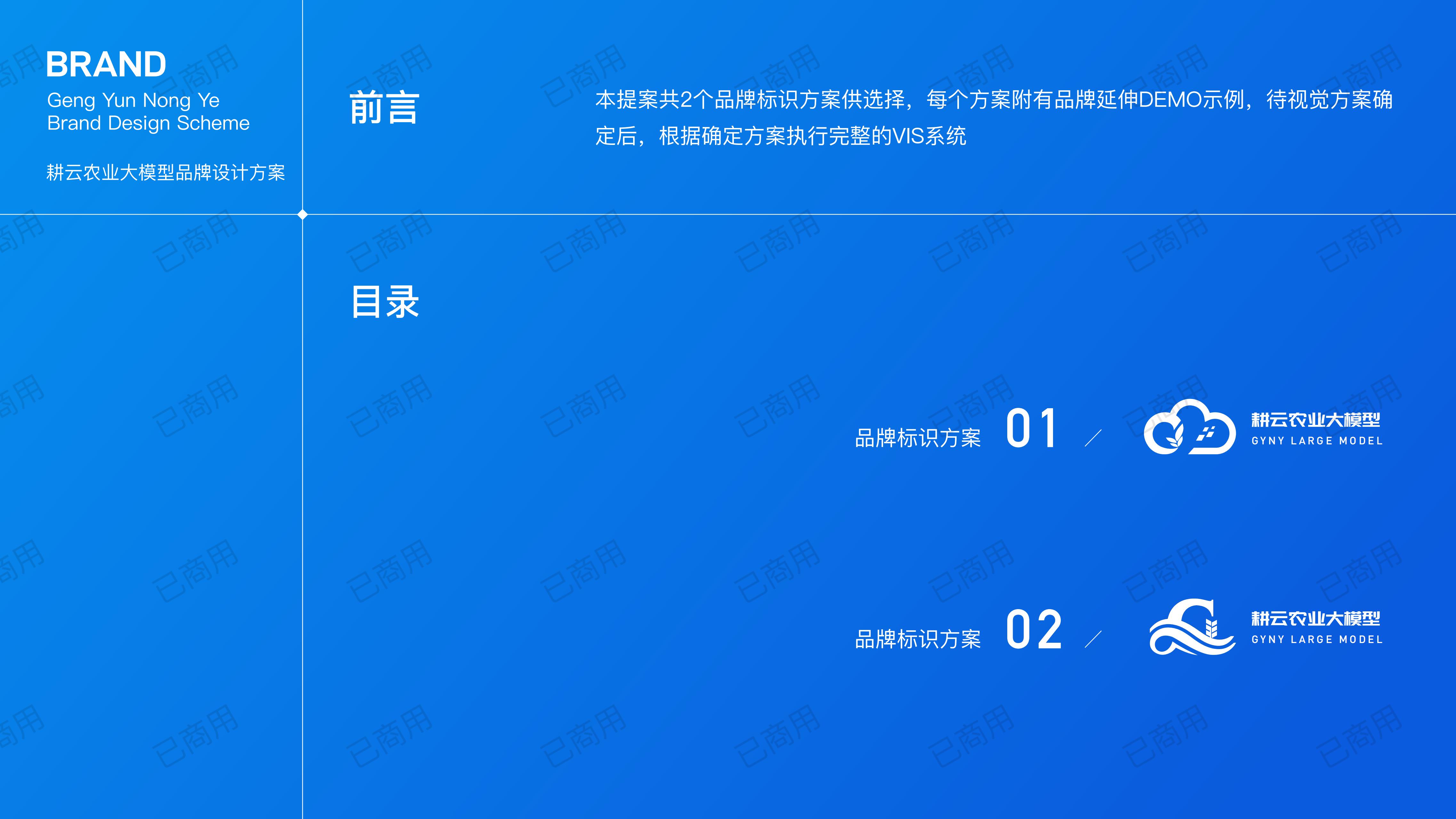 耕云农业大模型-logo提案_01.jpg